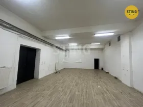 Pronájem skladu, Opava, Rybářská, 80 m2