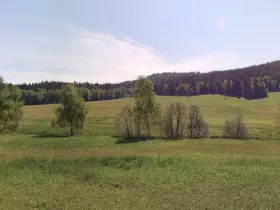 Prodej pole, Pohorská Ves - Janova Ves, 67144 m2