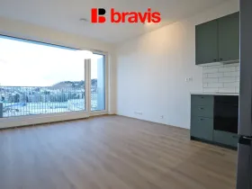 Pronájem bytu 2+kk, Brno - Staré Brno, Rybářská, 47 m2