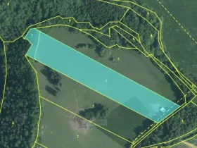 Prodej louky, Kamenný Újezd - Rančice, 15973 m2