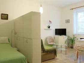 Prodej bytu 1+kk, Benešov, Čechova, 31 m2