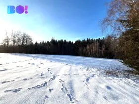 Prodej lesa, Žďár nad Sázavou - Stržanov, 43856 m2