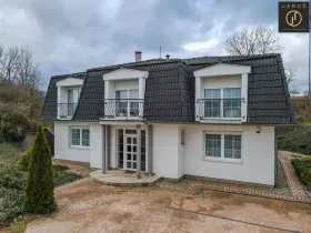 Prodej rodinného domu, Neprobylice, 305 m2