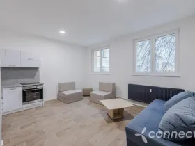 Pronájem bytu 1+kk, Přerov - Přerov I-Město, Husova, 30 m2
