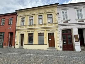 Pronájem komerční nemovitosti, Třebíč, Hasskova, 13 m2