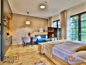 Prodej bytu 1+kk, Černý Důl, 39 m2