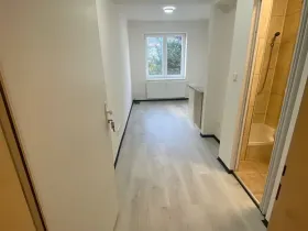 Pronájem bytu 1+kk, Praha - Hlubočepy, Na Zlíchově, 20 m2