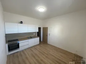 Pronájem bytu 1+kk, Břeclav, Na Valtické, 20 m2