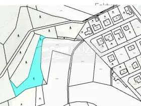 Prodej lesa, Jivina, 3138 m2