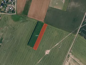 Prodej pole, Moravské Budějovice, 8730 m2