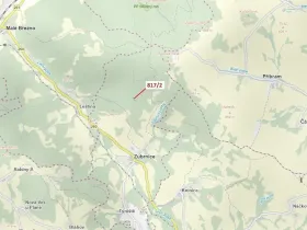 Dražba lesa, Zubrnice, 815 m2