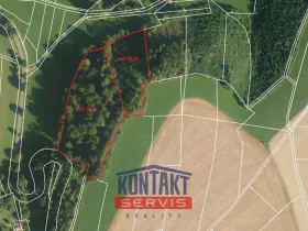 Prodej lesa, Libecina - Javorníček, 15596 m2