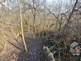 Prodej zahrady, Brno, Turistická, 207 m2