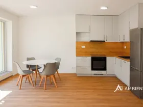 Pronájem bytu 1+kk, Brno, Ondřeje Sekory, 41 m2