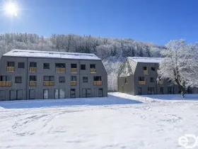 Prodej bytu 3+kk, Velké Hamry, 64 m2