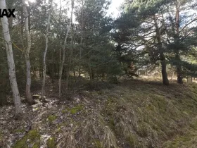 Prodej pozemku pro bydlení, Olešná, 1249 m2