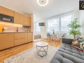 Prodej bytu 1+1, Beroun - Beroun-Město, Karly Machové, 29 m2