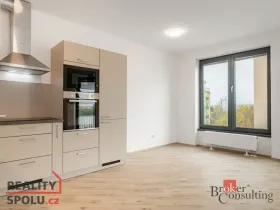 Pronájem bytu 2+kk, Plzeň - Jižní Předměstí, Železná, 52 m2