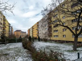 Prodej bytu 2+1, Praha - Holešovice, U městských domů, 43 m2