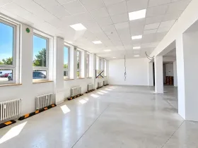 Pronájem obchodního prostoru, Praha, Počernická, 400 m2
