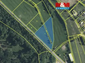 Prodej louky, Domousnice, 5324 m2