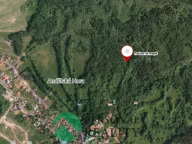 Prodej louky, Andělská Hora, 9593 m2