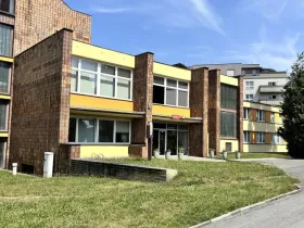 Pronájem kanceláře, Plzeň - Východní Předměstí, Modřínová, 20 m2