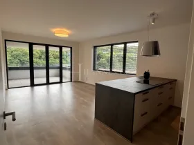 Pronájem bytu 2+kk, Praha - Karlín, U Sluncové, 65 m2