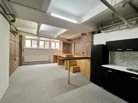 Pronájem bytu 1+kk, Praha - Nové Město, Dittrichova, 57 m2