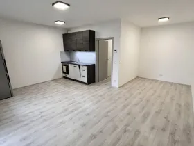 Pronájem bytu 1+kk, Olomouc, Wolkerova, 43 m2