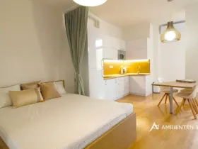 Pronájem bytu 1+kk, Brno, Kobližná, 54 m2