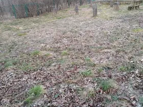 Pronájem zahrady, Dětkovice, 581 m2