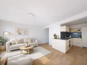 Pronájem bytu 1+kk, Ostrava - Moravská Ostrava, Sadová, 30 m2