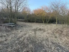 Prodej zahrady, Litoměřice - Předměstí, Veveří, 3183 m2