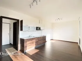 Pronájem bytu 1+kk, Praha - Jinonice, Barvitiova, 38 m2