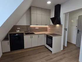 Pronájem bytu 1+kk, Sokolov, Josefa Kajetána Tyla, 31 m2