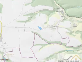 Prodej pole, Pavlíkov - Chlum, 13563 m2