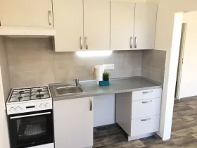 Pronájem bytu 2+1, Ostrava - Dubina, Františka Formana, 44 m2