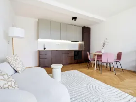 Pronájem bytu 2+kk, Praha - Žižkov, Biskupcova, 48 m2