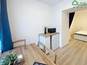 Pronájem bytu 1+kk, Brno, Francouzská, 25 m2