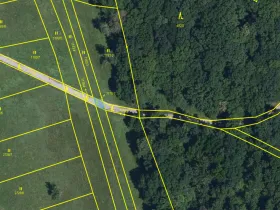 Prodej lesa, Břeclav - Charvátská Nová Ves, 58 m2