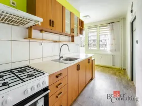 Prodej bytu 1+1, České Budějovice - České Budějovice 2, Vodňanská, 43 m2