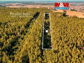 Prodej lesa, Olešnice, 18382 m2