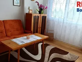 Pronájem bytu 1+1, Mladá Boleslav, Jana Palacha, 41 m2