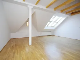 Pronájem bytu 3+1, Praha - Vinohrady, Mánesova, 120 m2