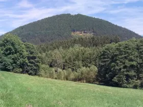 Prodej louky, Bernartice, 13423 m2