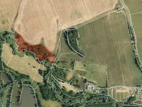 Prodej pozemku, Františkovy Lázně, 11892 m2