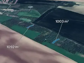 Prodej podílu lesa, Morašice, 698 m2