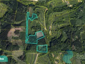 Prodej podílu 4/10 lesa, Bystřička, 16784 m2