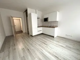 Pronájem bytu 1+kk, Plzeň - Východní Předměstí, Papírnická, 29 m2